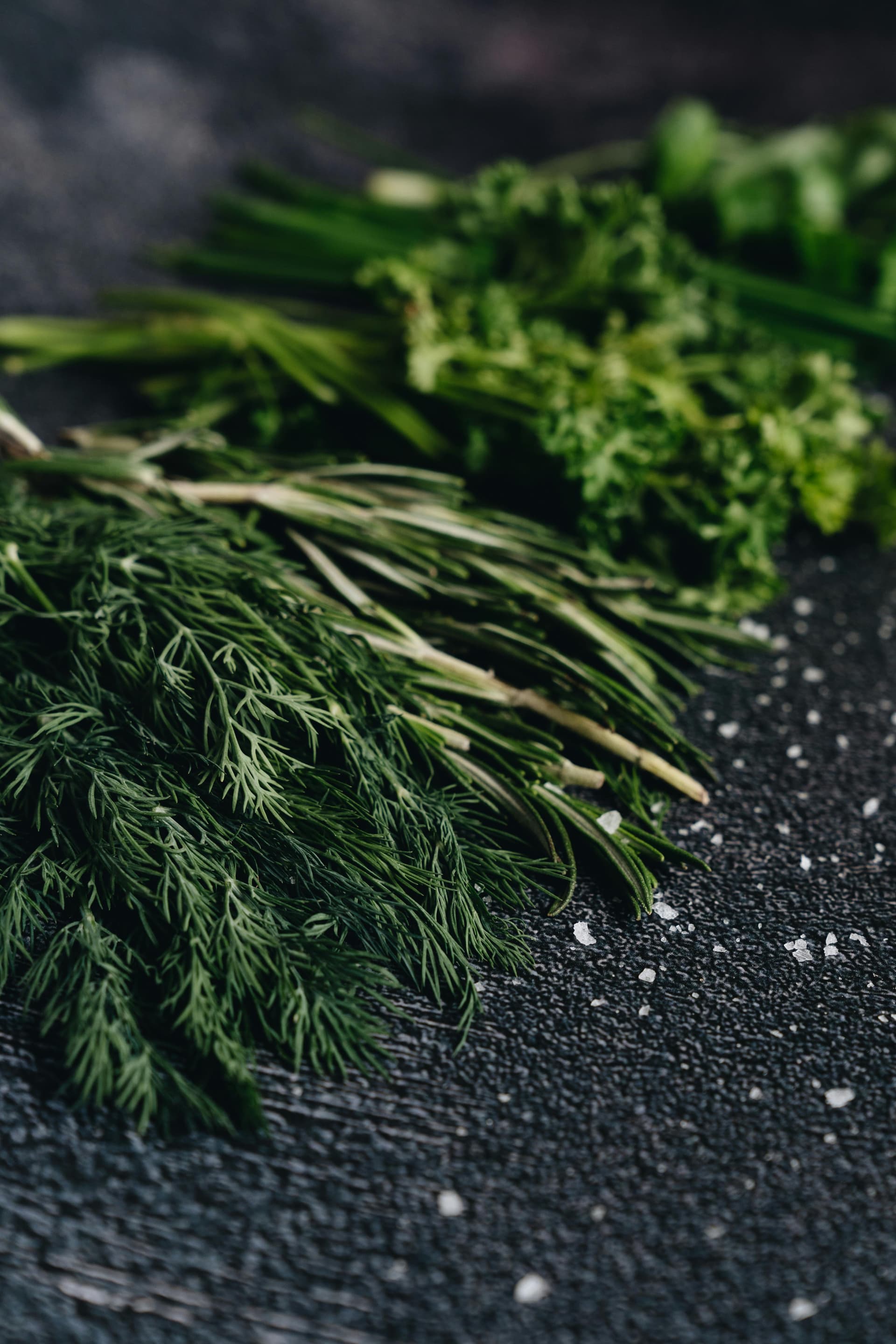 Dill