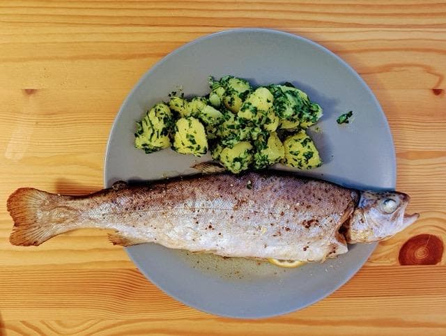 Fangfrische Forelle aus dem Backofen